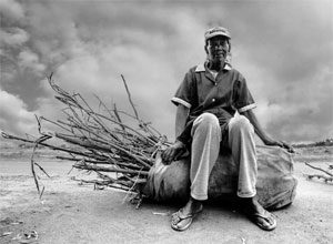   Syngenta Photography Award 2012