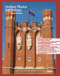 Online Photo Reflection