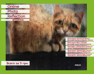 Online Photo Reflection