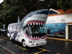 Стилизованный под акулу автобус музея "Мир Антарктики и Подводный Мир Келли Тарлтона" 