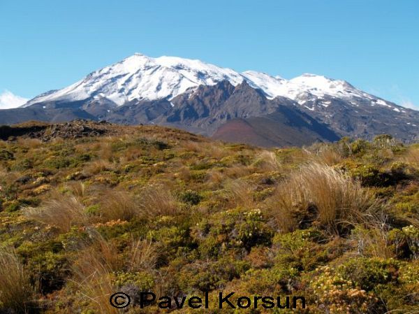 Вид на снежную вершину горы Руэпеху 