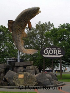 Статуя коричневой форели на въезде в небольшой город Гор 