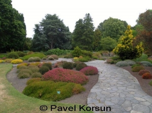 Часть парка Хэглей, где представлены мхи всех возможных цветов, оттенков и видов