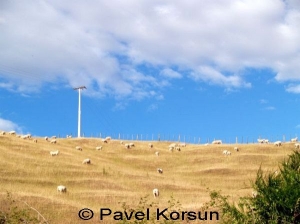 Пасущиеся овцы на склонах холмов