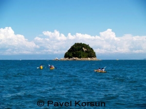 Группа туристов на каяках плывут к необитаемому зеленому острову