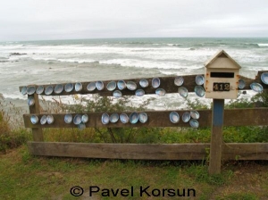 Перламутровые раковины как отражатели на заборе у берега океана