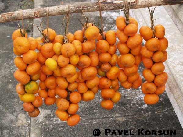 Мандарины на палочке