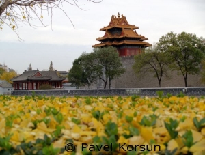 Зимний императорский дворец - вид на падающие листья и одинокую пагоду
