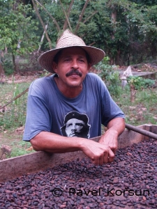 Кубинец объясняет как выращивают какао