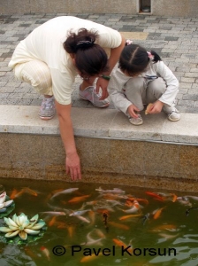 Девочка и мама кормят цветных рыбок