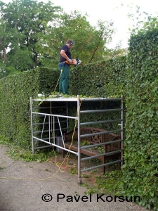 Работник парка замка Розенборг стрижет кусты создавая зеленые изгороди