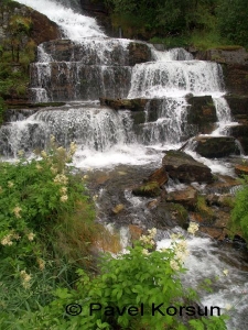 Разделенный поток водопада Твин и кустарник
