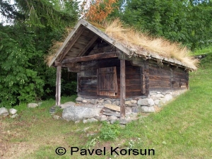 Деревянный домик под земляной крышей