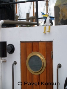Небольшой аист - игрушка сидящий над входом в рубку парохода - на удачу