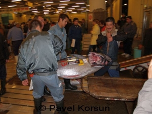 Погрузка туши проданного тунца на тележку на рыбном рынке