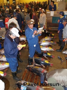 Процесс продажи тунца на рыбном рынке