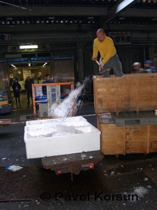 Работник рыбного рынка засыпает льдом туши тунцов в специальных ящиках