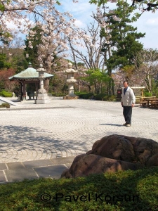 Японец в буддийском храме на фоне цветущей сакуры