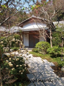Дорожка ведущая к входу в японский дом рядом с бумажным деревом