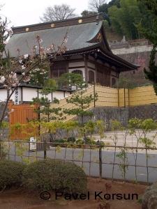 Японский дом окруженный бамбуковым забором