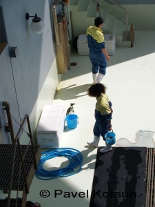 Маленький пингвин и работники аквапарка