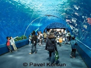 Арка - тоннель внутри бассейна в аквапарке