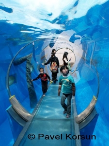 Дети в тоннеле внутри бассейна в аквапарке 