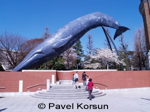 Монумент голубому киту выполненный в натуральный размер
