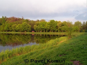 Киев - Голосеевское озеро и берега с цветущими каштанами