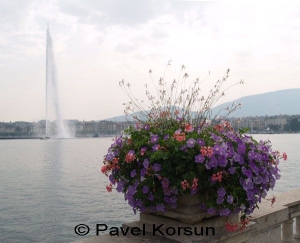 Вазон с цветами на набережной Женевского озера и фонтан взывающий ввысь